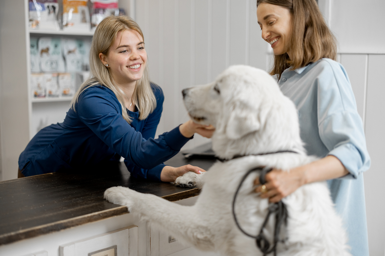 Female owner and veterinarian with big white dog on reception in veterinary clinic. Dog climbed paws on the table and doctor stroking dog. Pet care and treatment