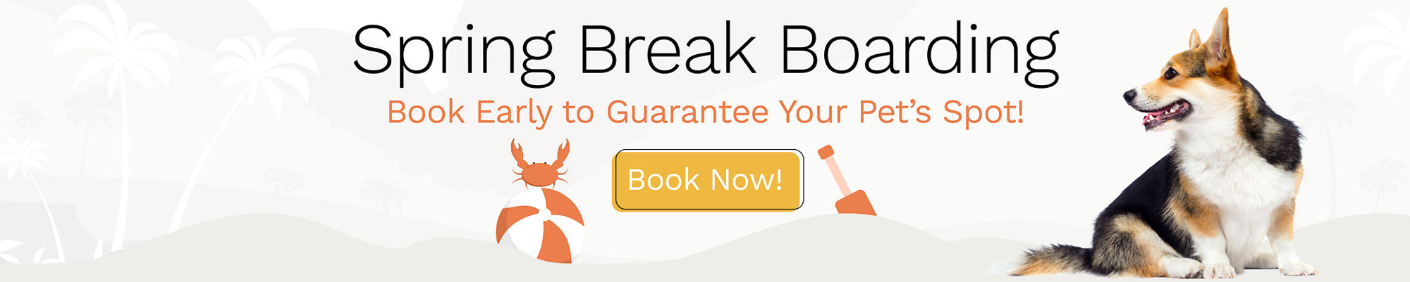 spring break web banner