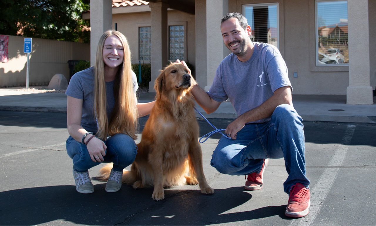 staff with dog