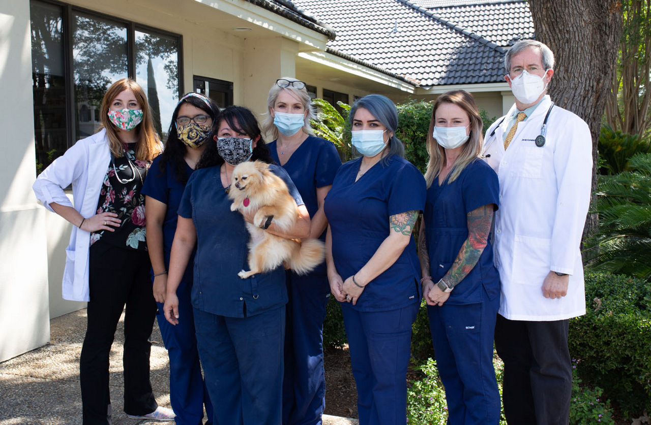 Stone Oak Veterinary Staff