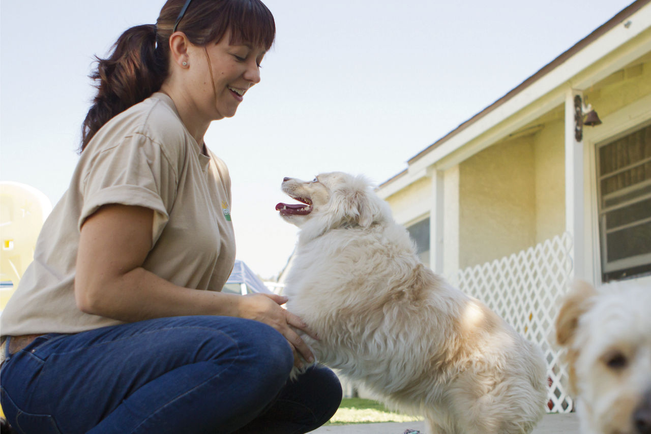 Staff member playing with white dog.