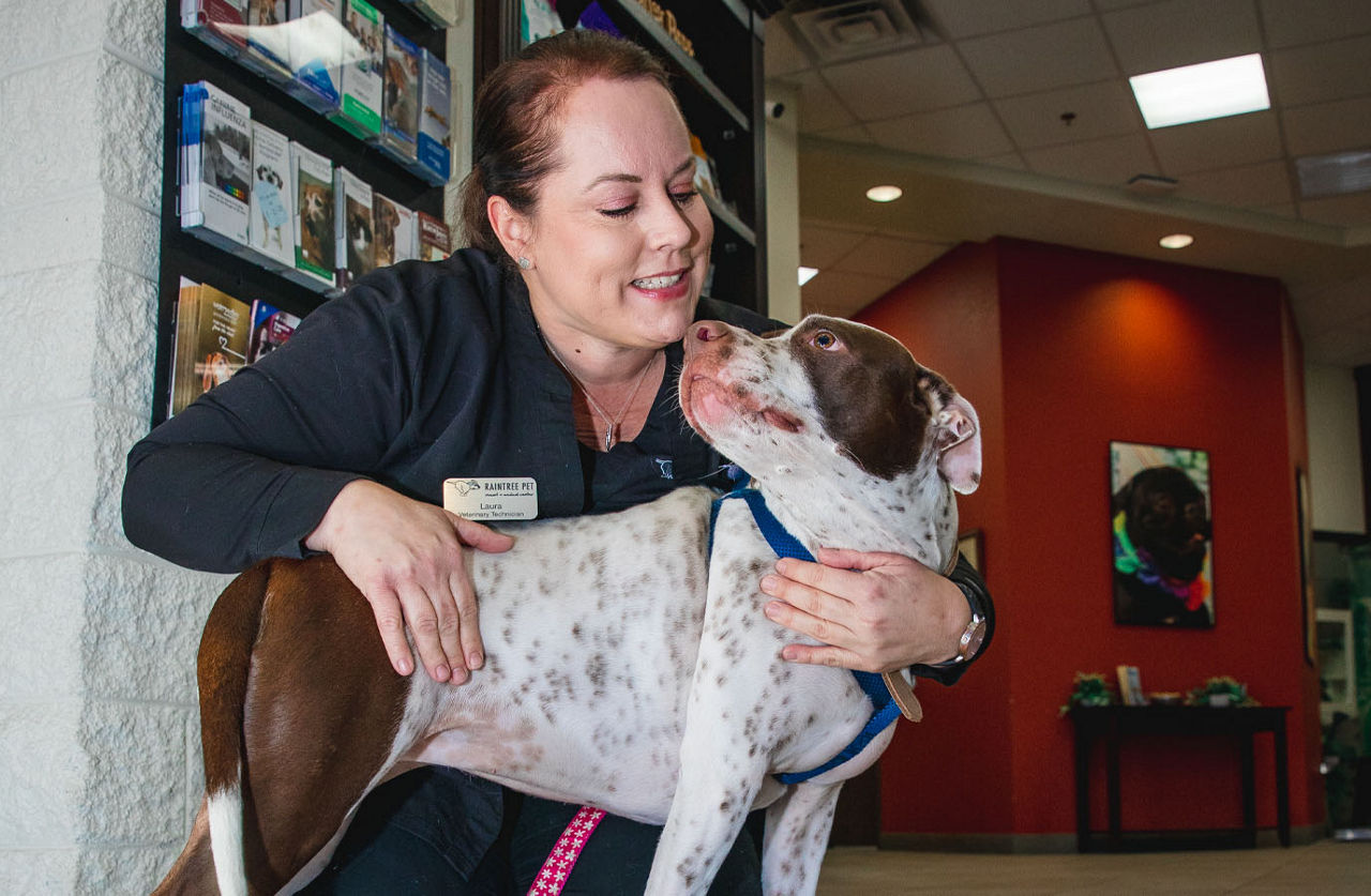 vet with dog