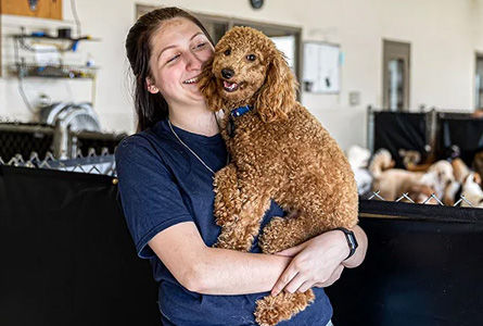 Staff with dog at BrownDog Lodge