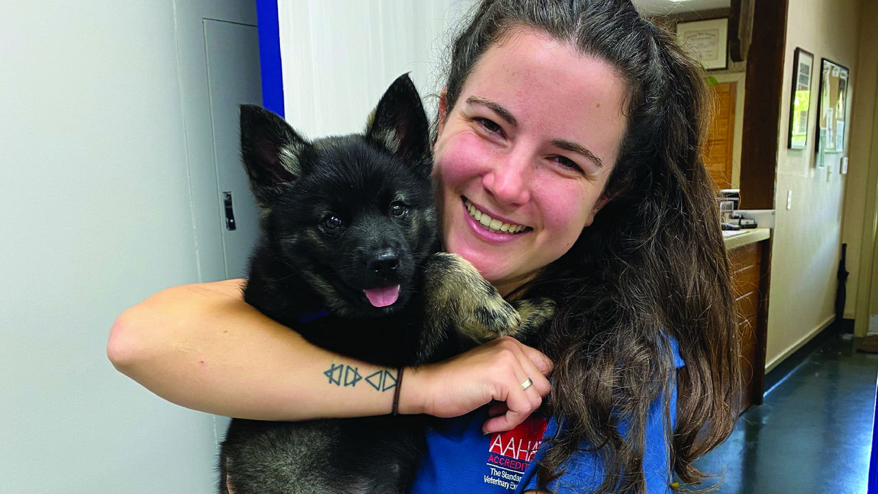 Veterinarian staff