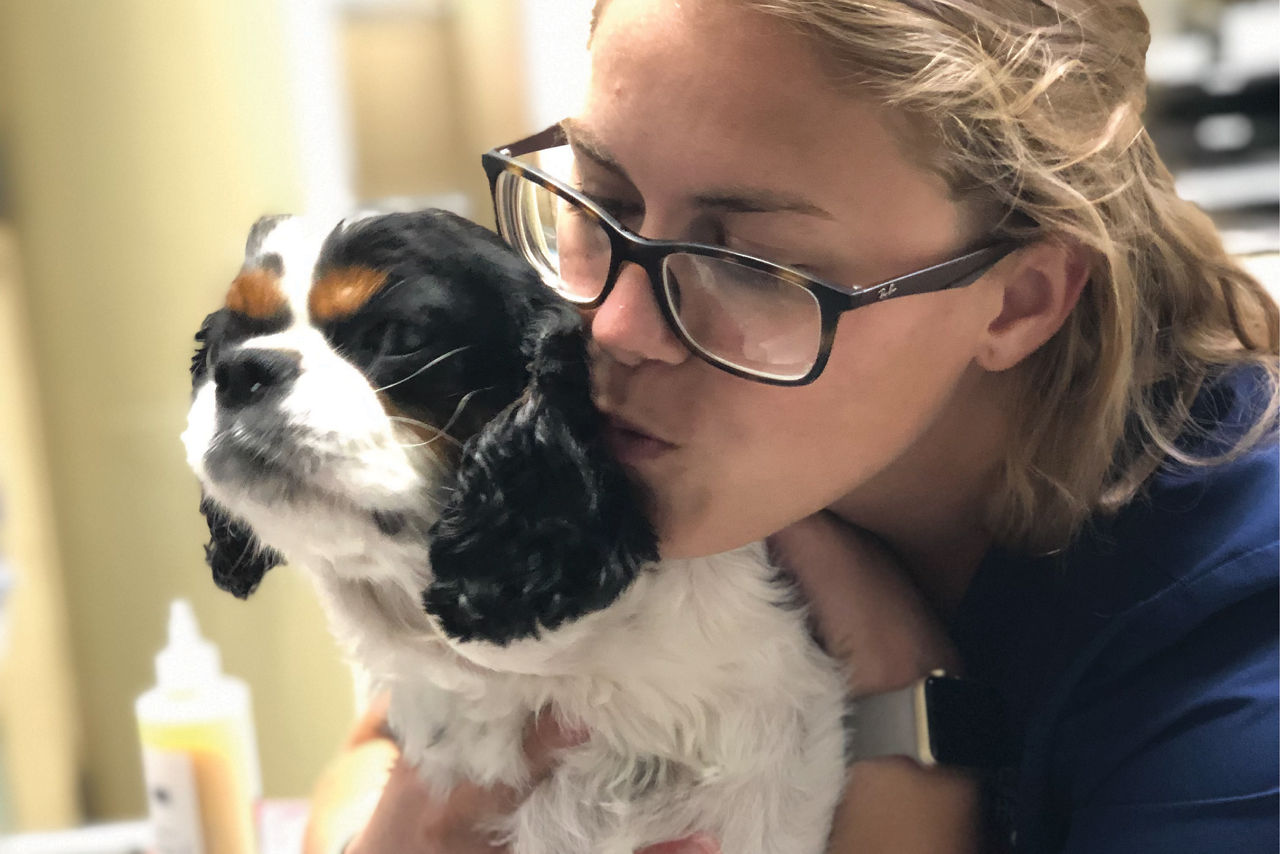 Staff Kissing Dog