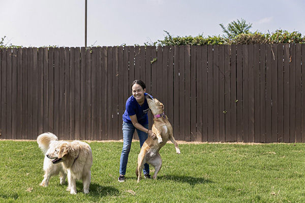 Staff with happy dogs at BrownDog Lodge