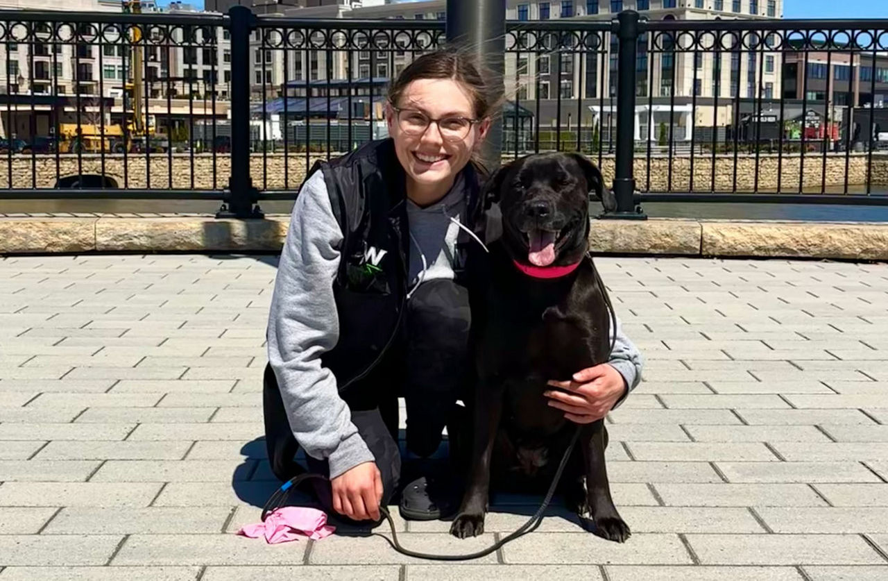 Staff with black dog outside