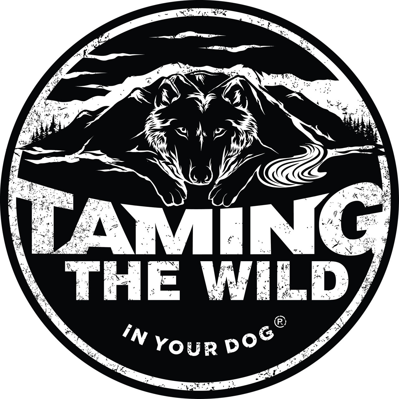 Taming the Wild logo