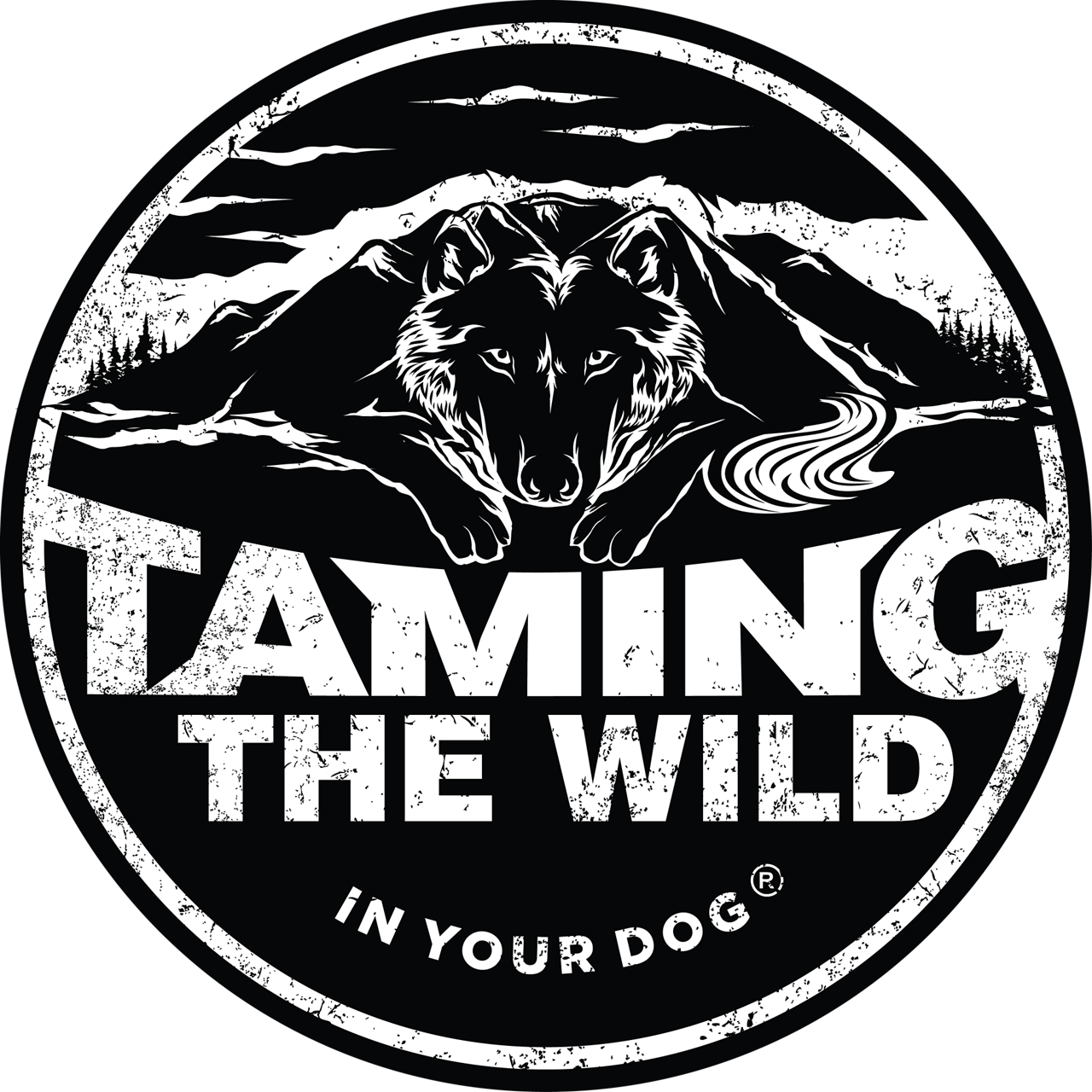 Taming the Wild
