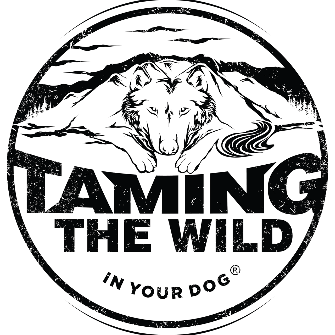 Taming the Wild Logo