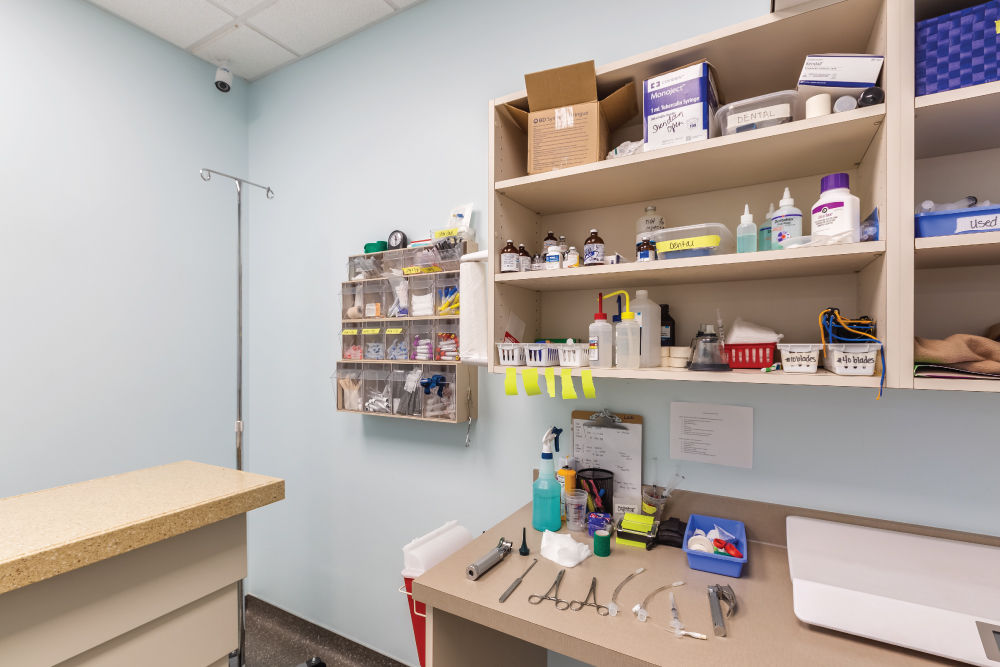 Vet area of The Cat Clinic