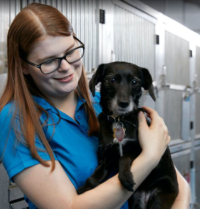 dog with employee