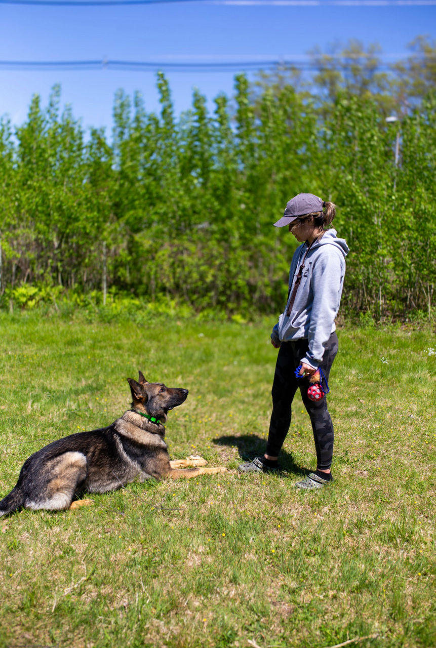 Trainer with dog, dog is looking up at trainer.