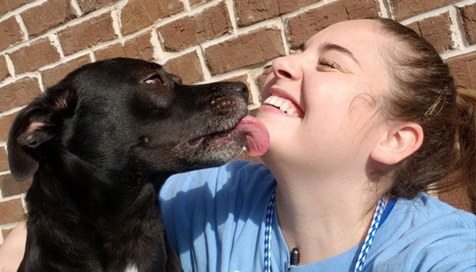Dog licking girl