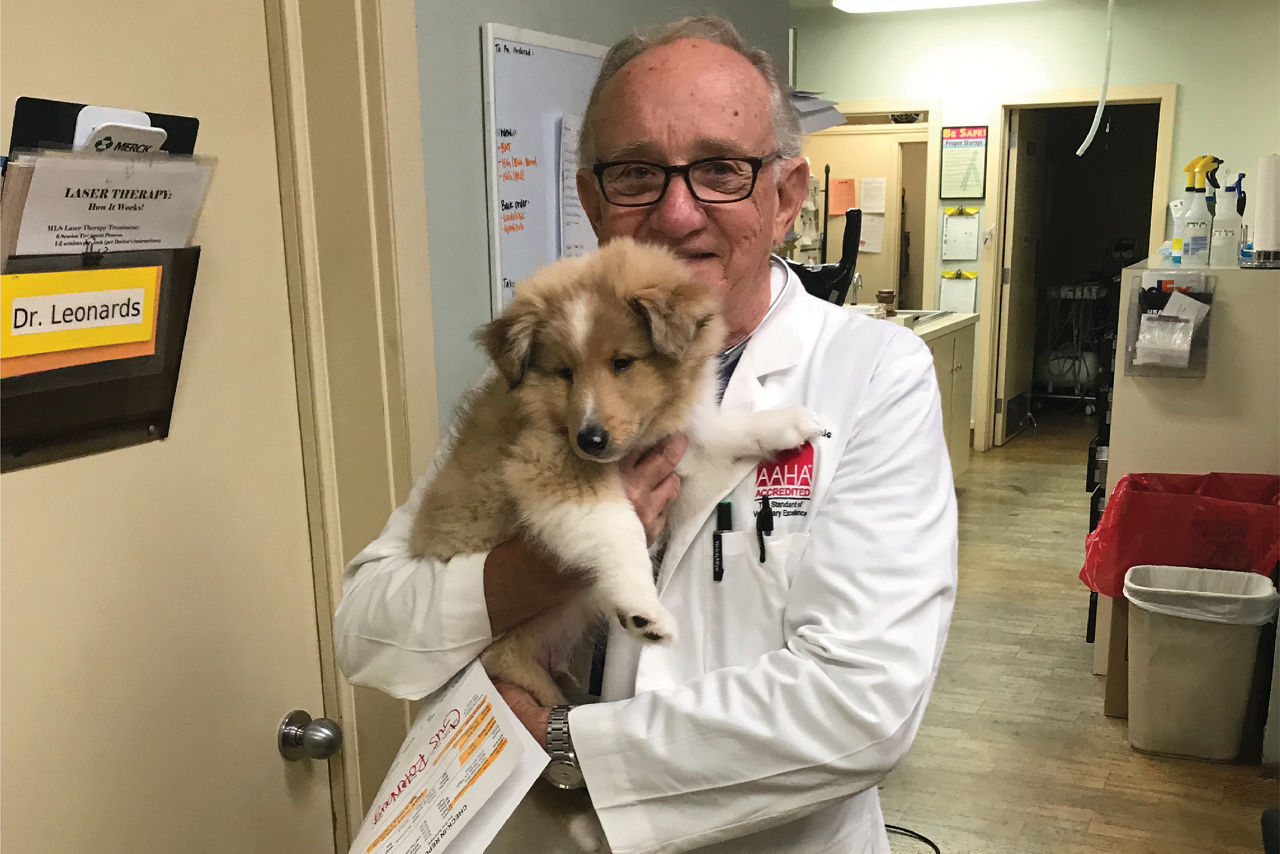 Vet Holding Puppy Labcoat