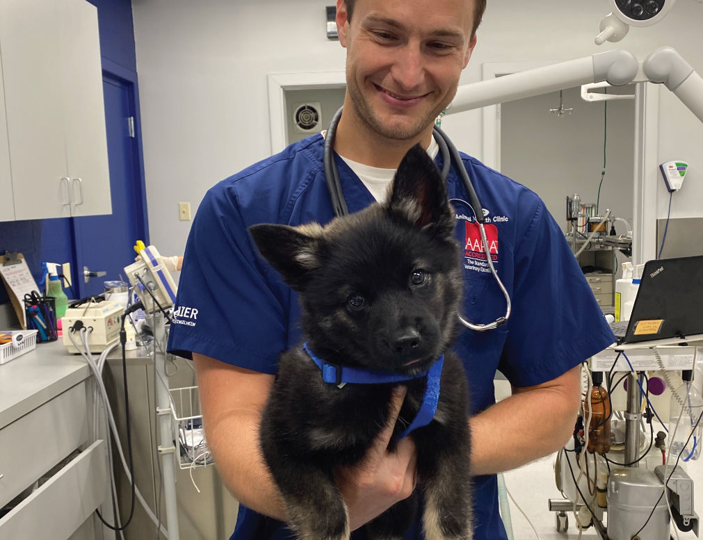 Vet Tech Holding Puppy