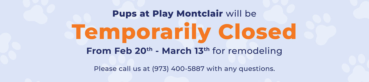 Pups at Play Montclair will be temporarily closed from February 20th to March 13th for remodeling.