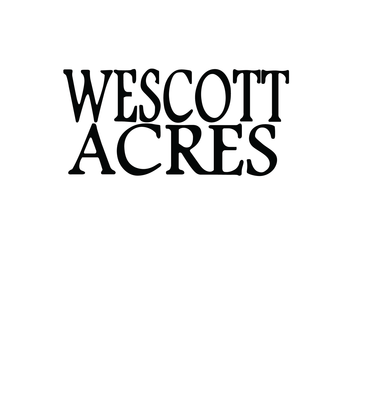 Spring Break Fun for Dogs | Wescott Acres Pet Resort