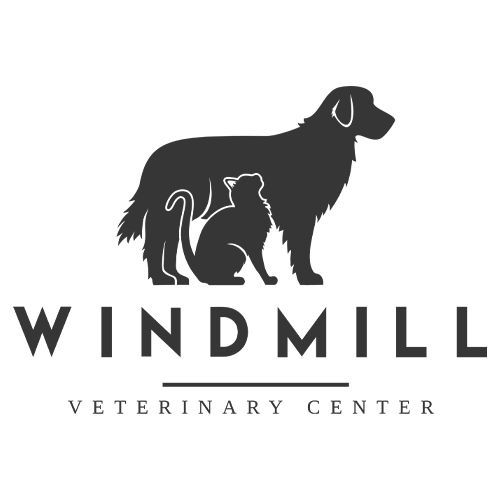 Windmill