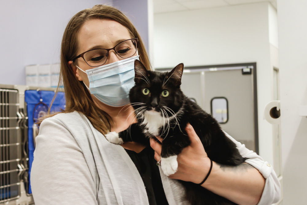 Woman holding tuxedo cat