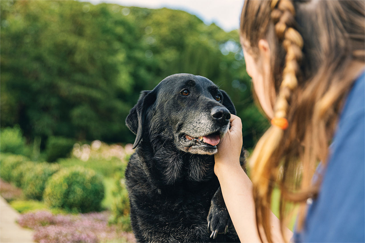 Women petting black dog