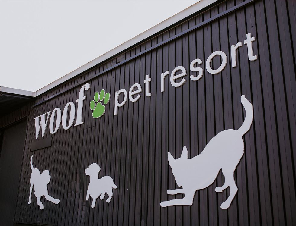Wet Pet Resort exterior