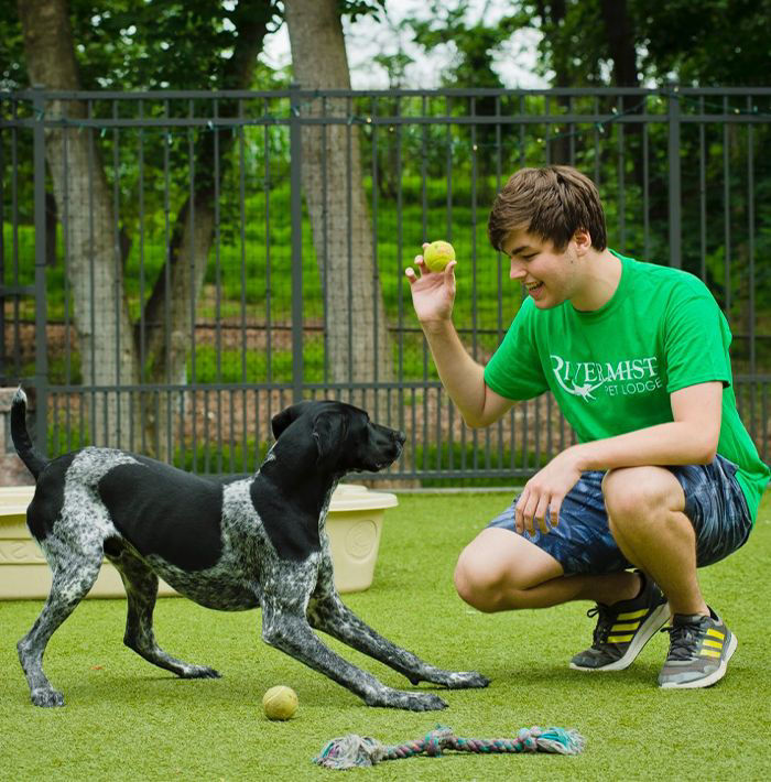 Man playing with dog