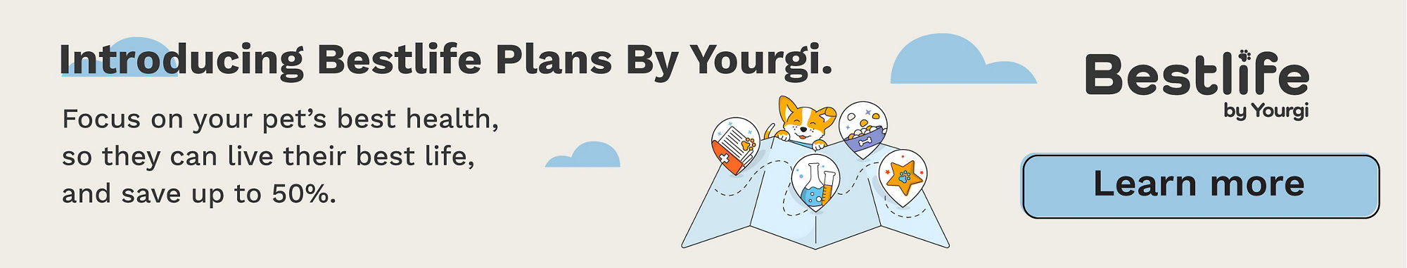 yourgi banner