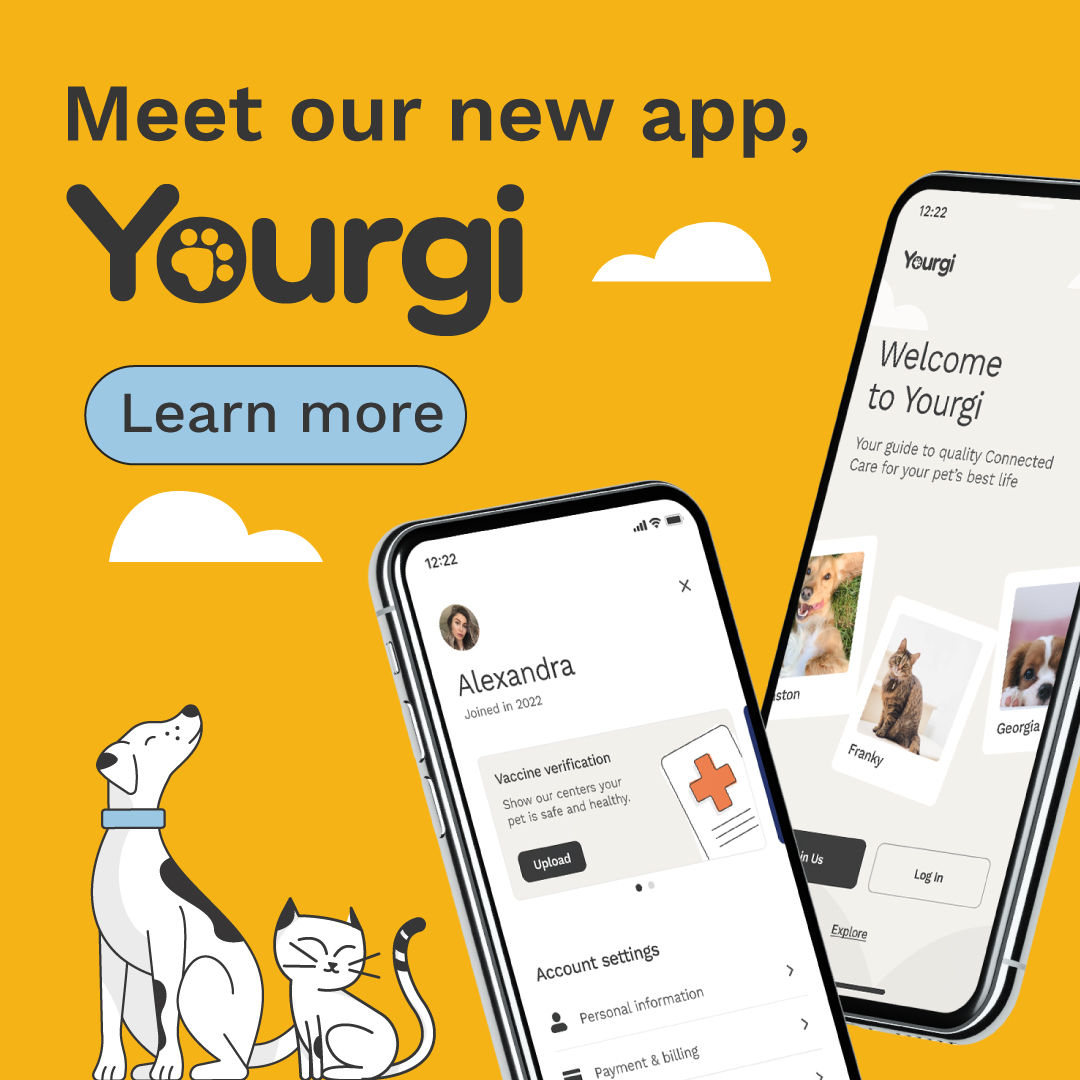 Yourgi app